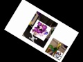 THIS VIDEO CONTAINS PATCHY THE PIRATE AND SAKUYA THE PARROT SPINNING COUNTERCLOCKWISE