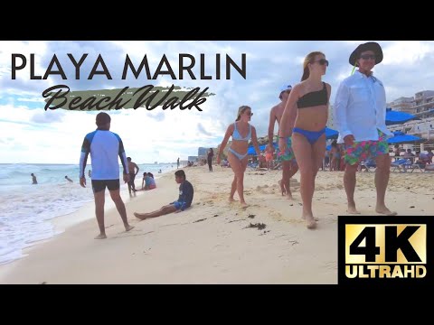 Stroll Through Paradise: Playa Marlin | Cancun in 4K