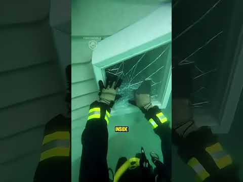 Firefighters Rescue Drowning Dog 🥺