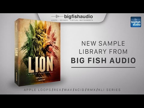 Free Download Lion Reggae Productions KONTAKT AiFF