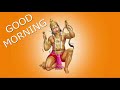 GOOD MORNING STATUS HANUMAN JI STATUS VIDEO GOOD MORNING STATUS VIDEO GOOD MORNING WISHES