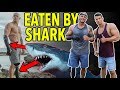 He Lost his Arm & Leg in Shark Attack & went Vegan | ft. Paul de Gelder