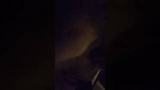 Bombings in NY - your move America