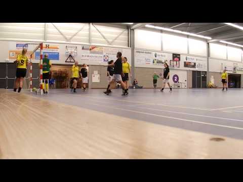 VIOS V. VR1 - ZHV VR1