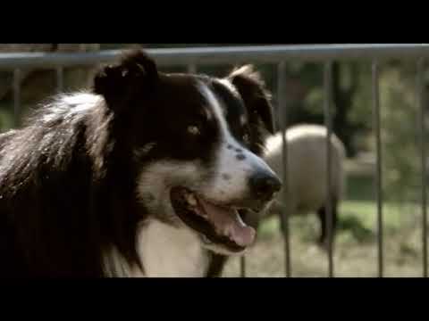 Blumfeld - Neuer Morgen