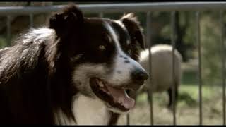 Blumfeld - Neuer Morgen