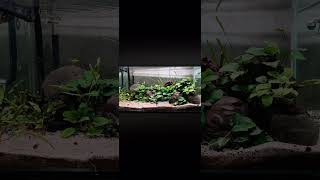 Download lagu KUMPULAN MUSIK TAHUN 2000an MENGENANG MASA SMA, pilot band, salju band , armada, zivilia mp3 Download lagu KUMPULAN MUSIK TAHUN 2000an MENGENANG MASA SMA, pilot band, salju band , armada, zivilia mp3