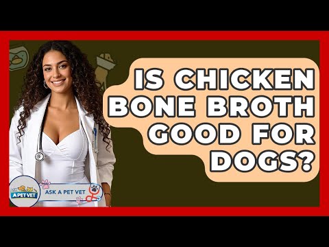 Is Chicken Bone Broth Good For Dogs? - Ask A Pet Vet