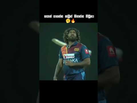 අන්තිමට දණ ගානවා 😅💔 #cricket #trending #100k #viral