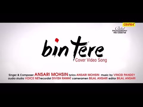 Ansari Mohsin Singer Album Song Bin Tere Song