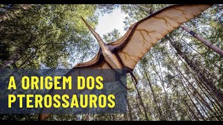 Miniatura do vídeo