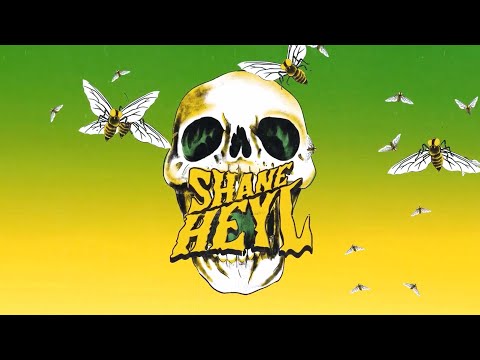 SHANE HEYL TOPX PART