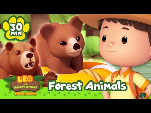 Cartoon boy explorer with two brown bears in a forest; thumbnail for Leo the Wildlife Ranger: Forest Animals.