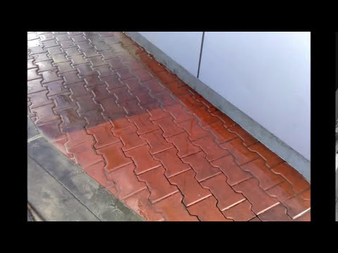 Koślawe kolana instalacja Noga z szyszek Zdjęcie