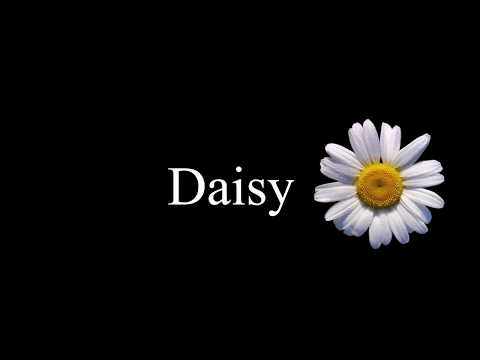 HOW TO PRONOUNCE: Daisy