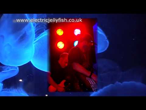 Electric Jellyfish Promo