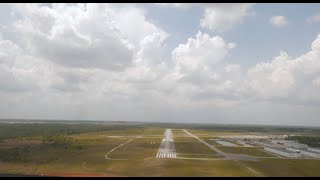 Will to Fly: a story of taking flight