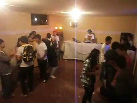 HARLEM SHAKE (Single Party)
