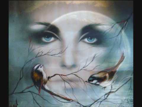 De wind nam hem mee - Frank Boeijen