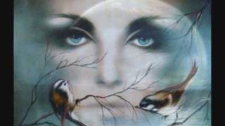 De wind nam hem mee - Frank Boeijen