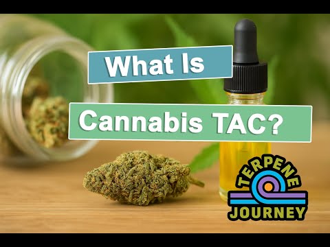 What Is Cannabis TAC