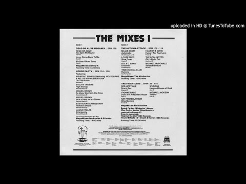 Dead Or Alive Megamix(DMC mix by Sanny X 86)
