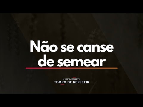 Tempo de Refletir 2547 - Não se canse de semear