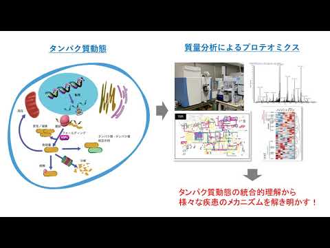 【医学部医学科】最先端の研究紹介２システム生化学）