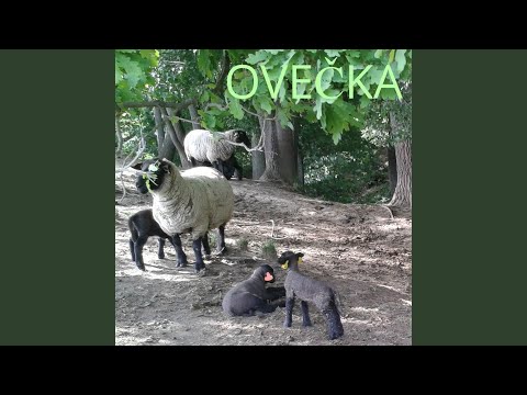 Červená řeka (Red River Valley)