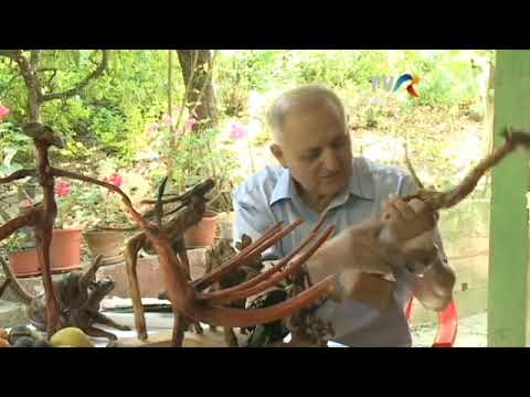 Interviu Constantin Corduneanu 2018 , Valea Oilor