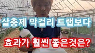 아무도 안알려주는 살충제 막걸리트랩 보다 효과가 훨씬 좋은것은? 주말농장,텃밭,고추담배나방,진딧문약 살충제 …