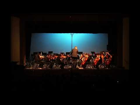WCI's Senior Chamber Orchestra - Winter Music Night 2025
