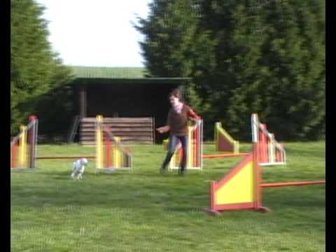 samia/lilo border/parson