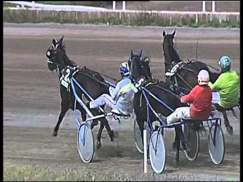 trotto 28/05/2015 - 1° corsa