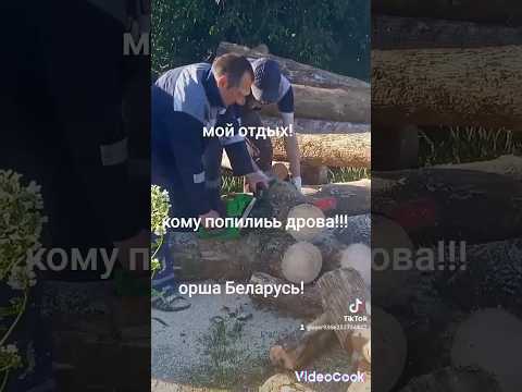 фото бензопила dgm gs-232 шина 40 см (16''), 2.30 квт, 40см (16''), бензоинструмент пила бензиновая дгм 0