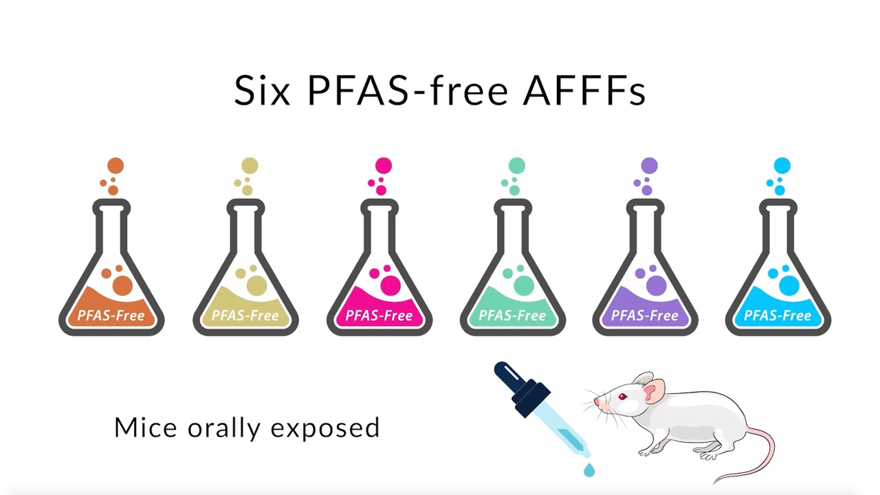 ER20-1508: Assessing the Ecotoxicity of PFAS-Free Firefighting Formulations in Mice