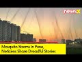 Mosquito Tornadoes In Pune Netizens Share Horrific Story NewsX