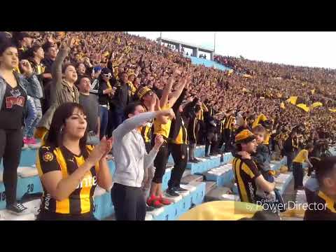 "Hinchada De Peñarol Vs. Naciomal gallina puta / Cl. 2017/ SIEMPRE FUIMOS MAS C.A.P" Barra: Barra Amsterdam • Club: Peñarol