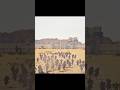 Count Balian Vs Salahuddin Ayyubi A Trap In The Desert Shorts Youtubeshorts Salahuddinayyubi