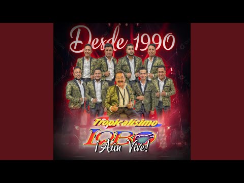 EPISODIO 15 (TROPICALISIMO LOBO) (EN VIVO EL CAMBIO)