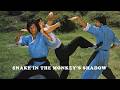 Snake In The Monkeys Shadow Classic Kung Fu Film Rare Original Trailer