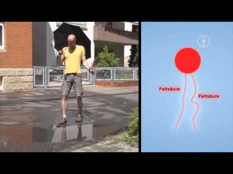 FWU - Diffusion und Osmose - Trailer