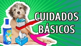CUIDADOS ESSENCIAIS COM A HIGIENE DO SEU CÃO