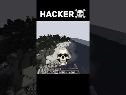 Elytra mace pvp in minecraft