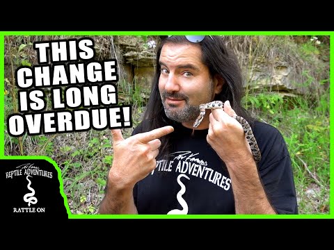 WHY I HAVE A PROBLEM WITH THIS SNAKE (and so should you)