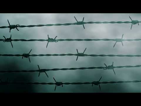 WW1 Battles in Consecutive Order part 3, Isonzo's - Passchendaele #history #facts #ww1 #canada