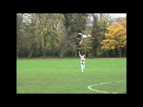 Play video on YouTube