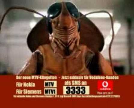 LaAylibienslow’s Video 8899611556 kKcIa-vmQtY