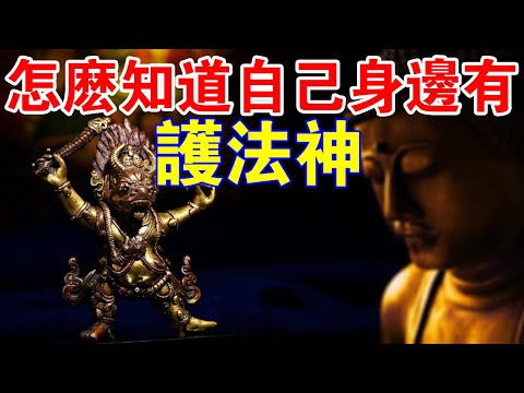 護法神有哪些