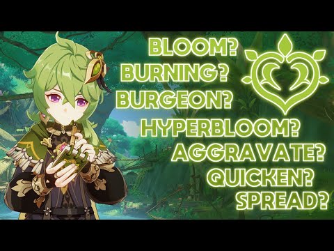 My First Steps Into Sumeru [Genshin Impact 3.0]